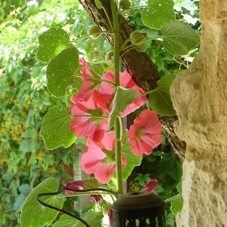 Beausejour Saint-Cyprien (Dordogne)